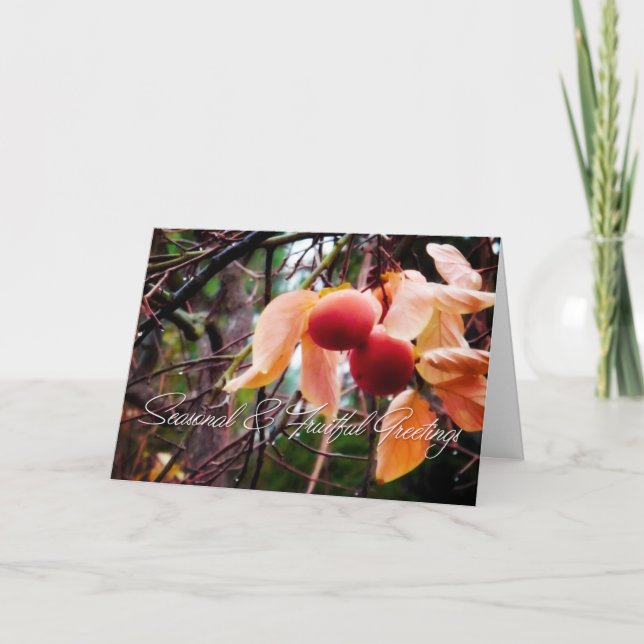 Persimmons Holiday Card (Front)