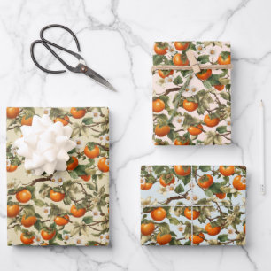 Persimmons Pattern Wrapping Paper Sheet