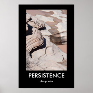 PERSISTENCE, always wins Demotivational Poster