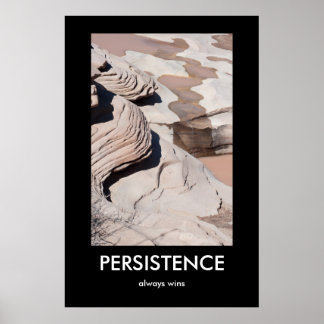 PERSISTENCE, always wins Demotivational Poster