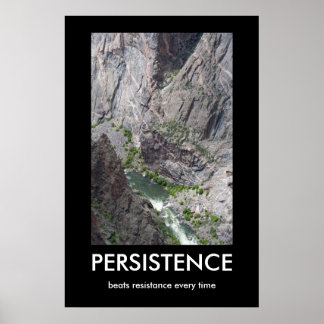 Persistence Demotivational Poster