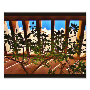 Persistent Plants Photo Print
