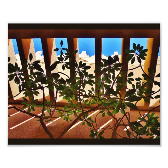 Persistent Plants Photo Print (Front)