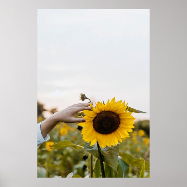 Person holding sunflower poster (Front)