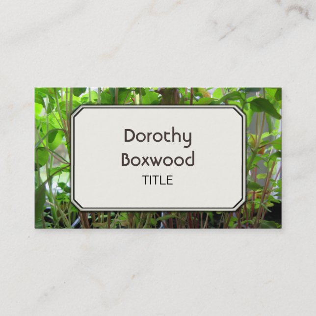 Personal Botanical Plants Seedlings Customisable Business Card (Front)