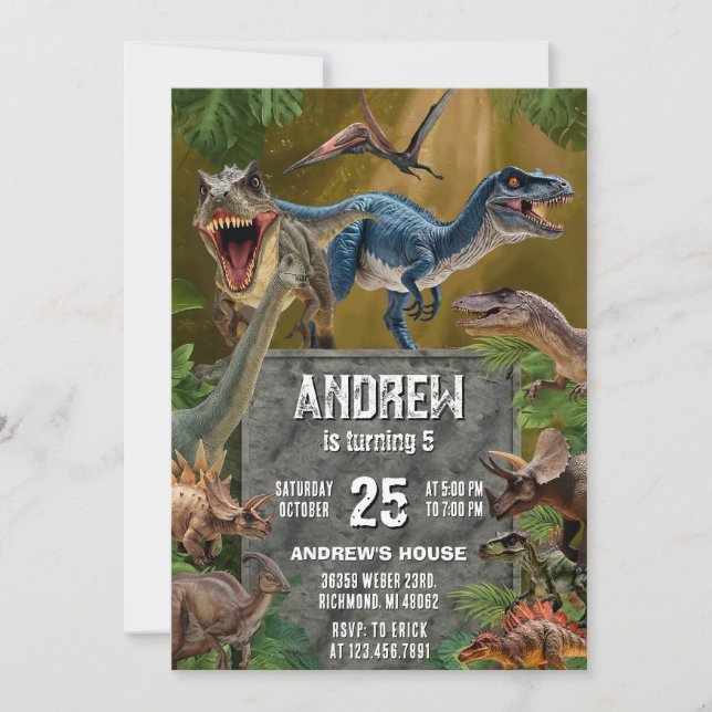 Personal Dinosaur Dino Boy Birthday Party Invitation (Front)