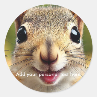 Personal squirrel sticker