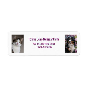 Personalise 2 Photos Cat Dog Modern Return Address
