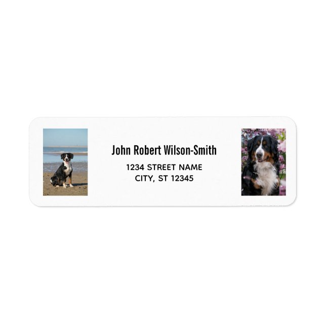 Personalise 2 Photos w/ Dog Modern Return Address (Front)