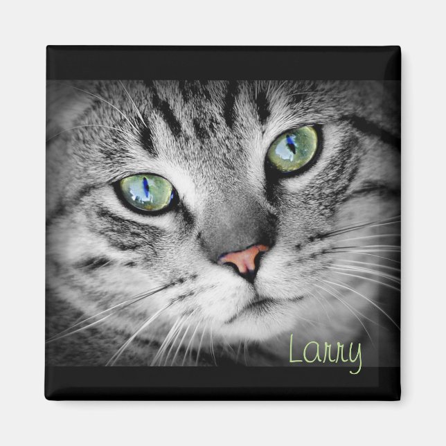 Personalise a Magnet with your Favourite Pet! (Front)