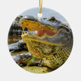 Personalise American alligator portrait photograph Ceramic Tree Decoration