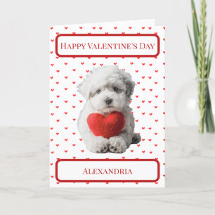 Personalise Bichon Frise Puppy Valentine Card