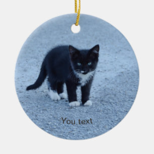 Personalise Black and white Tuxedo kitten Ceramic Tree Decoration