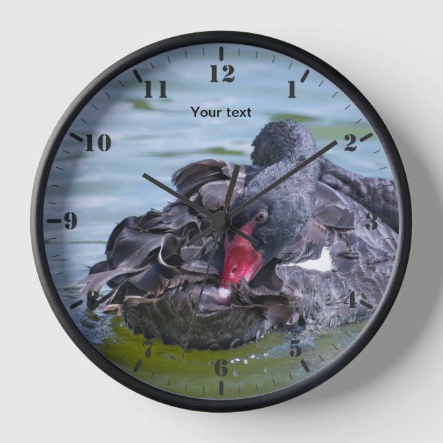Personalise Black Swan bird resting Clock (Front)
