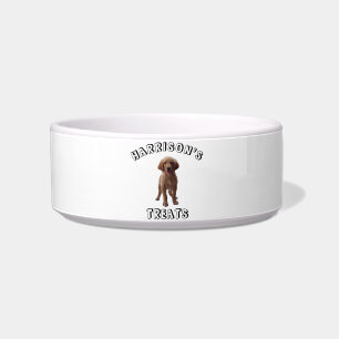 Personalise Custom Dog, Cat Name Photo treats food Bowl