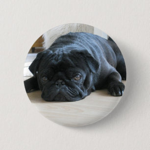 Personalise cute black Pug Puppy accessories name 6 Cm Round Badge