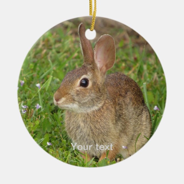 Personalise cute bunny photography ceramic tree decoration (Front)