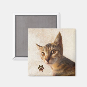 Personalise Cute Pet Kitten Photo Custom Template Magnet