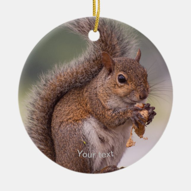 Personalise cute Squirrel eating a nut photography Ceramic Tree Decoration (Front)