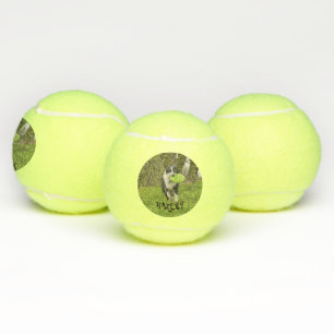 Personalise Dog Pet Picture Name Playtime Tennis Balls