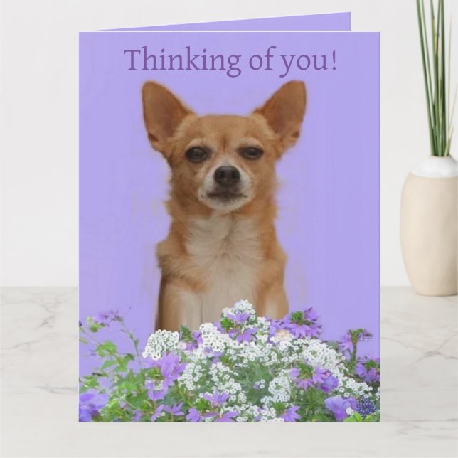 Personalise Doggie large "Thinking of you" Card (Front)