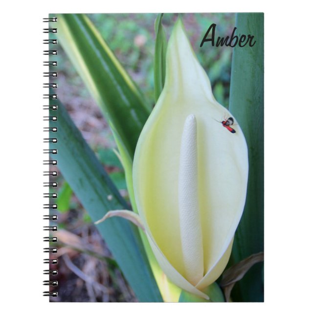 Personalise Elephant Ear Bloom Photo Notebook (Front)