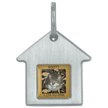 Personalise Faux Gold Leaf on Black Cat