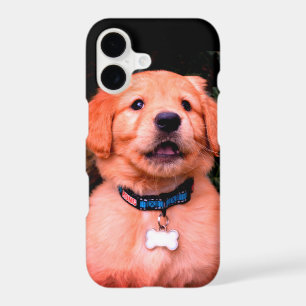 Personalise Golden Retriever Puppy