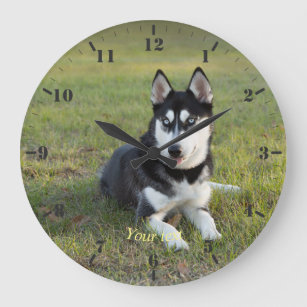 Personalise Happy playful Siberian Husky puppy Large Clock