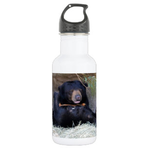 Personalise Honey Bear (Sun Bear) Photo 532 Ml Water Bottle