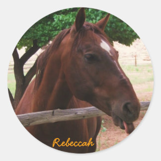Personalise Horse Classic Round Sticker