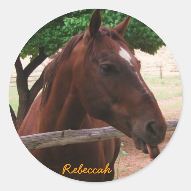 Personalise Horse Classic Round Sticker (Front)
