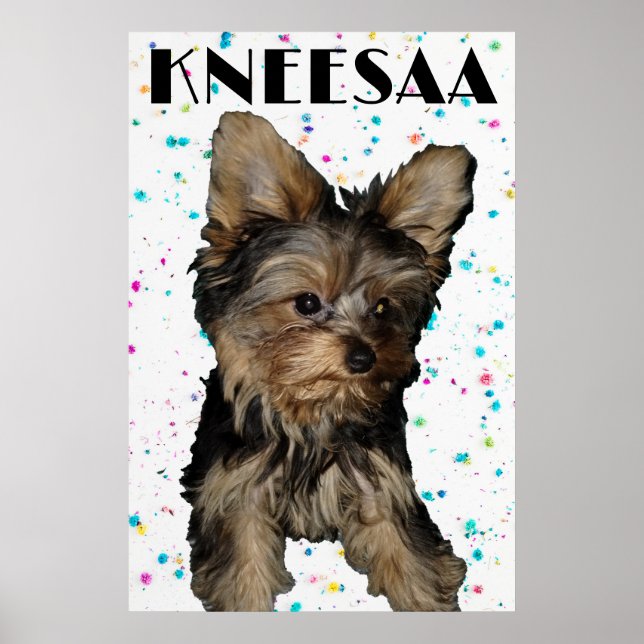 Personalise It! Floral Speckled Pet Photo & Name Poster (Front)