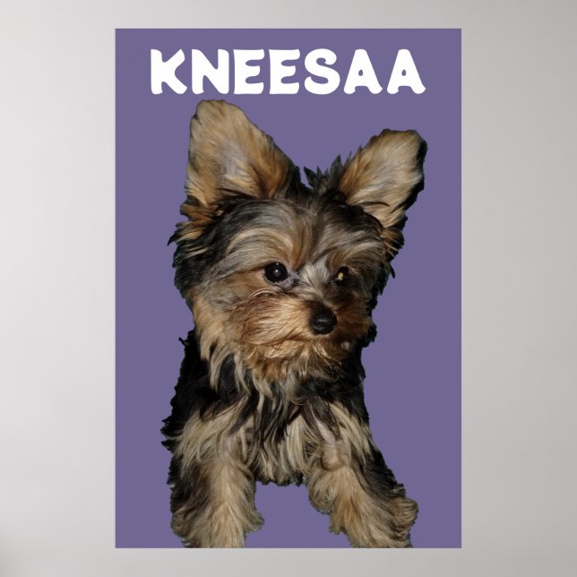 Personalise It! LAVENDER Pet Photo & Name Poster (Front)