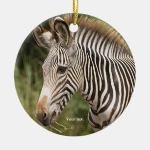 Personalise Juvenile Zebra Ceramic Tree Decoration