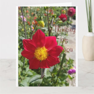 Personalise large "Thinking of You" Sympathy Card