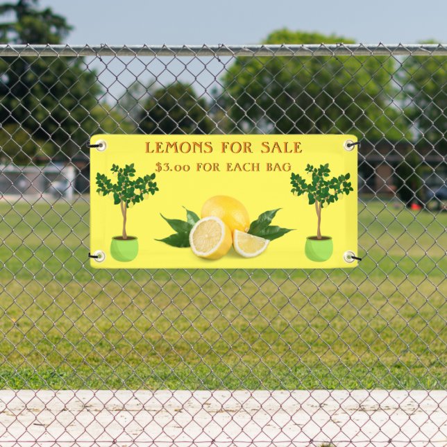 Personalise Lemons For Sale Fruit Stand  Banner (Insitu)