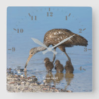 Personalise Limpkin bird with its three babies