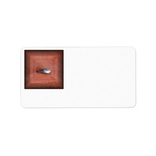 Personalise Macro Photograph of Snail Terracotta Label