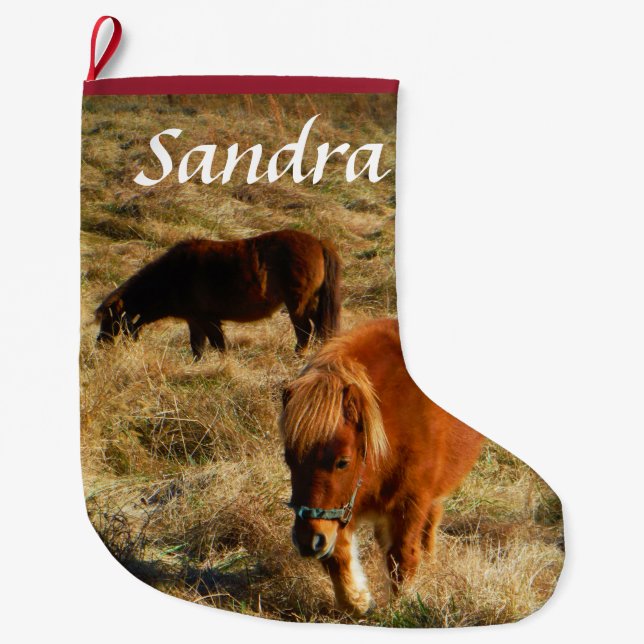 Personalise miniature Horse ponies Large Christmas Stocking (Front)