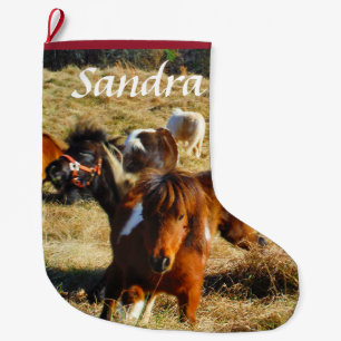 Personalise miniature Horse ponies Large Christmas Stocking