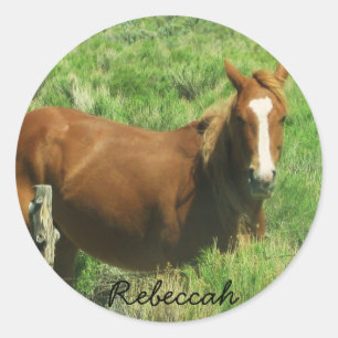 Personalise Name Horse Classic Round Sticker