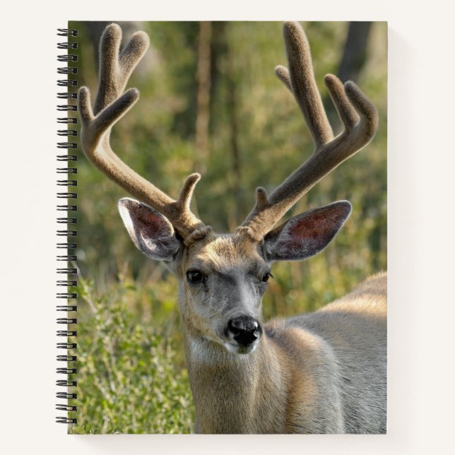Personalise Name Mule Deer Spiral Notebook (Front)