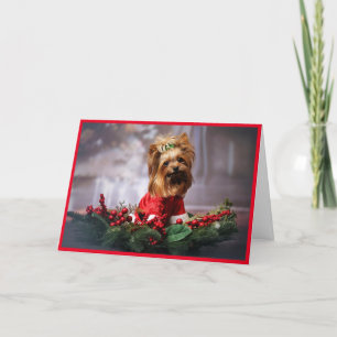Personalise Pet Photo Upload A Favourite Add Names Holiday Card