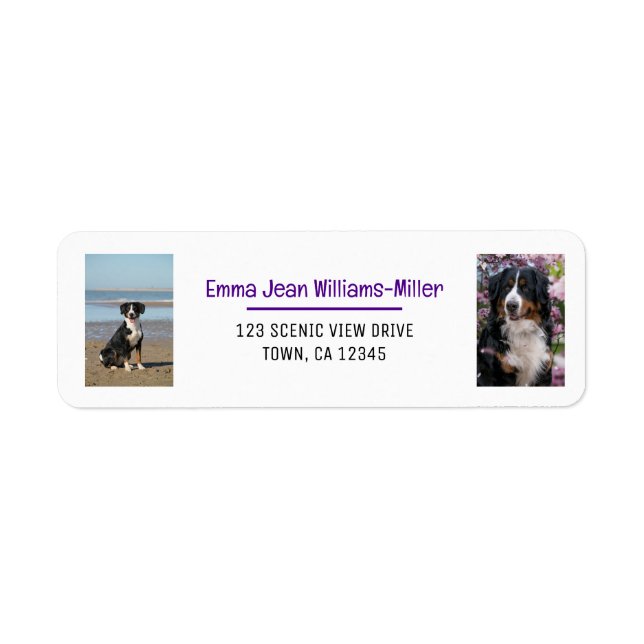 Personalise Photos w/ Dog Modern Return Address (Front)
