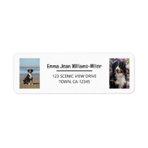 Personalise Photos w/ Dog Modern Return Address
