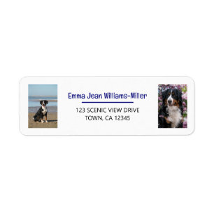 Personalise Photos w/ Dog Modern Return Address