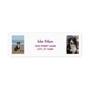 Personalise Photos w/ Dog Modern Return Address