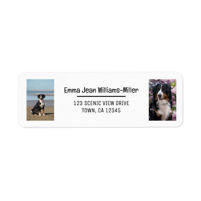 Personalise Photos w/ Dog Modern Return Address (Front)