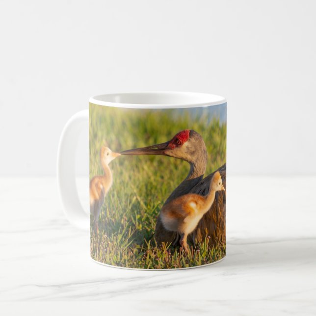 Personalise Sandhill cranes love to its chicks Coffee Mug (Front Left)